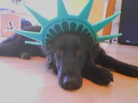 050610_161709MA11521452-0003.jpg