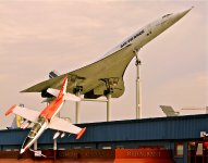 DSCF5620.jpg
