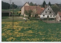Mäuseburg.jpg