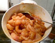 P1000260.jpg