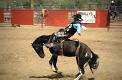Rodeo.jpg