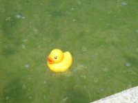 DSC03966.jpg