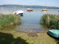 DSC08692.jpg