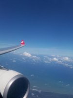 100_2497.jpg 100_2497.jpg