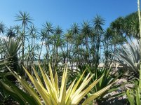 100_2511.jpg 100_2511.jpg