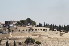 Israel - Jerusalem 2017 900.jpg