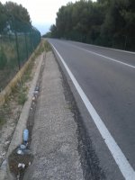 31255021977_e087286b5c_o.jpg 31255021977_e087286b5c_o.jpg