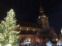 IMG_4234.jpg