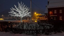 polarnight04.jpg