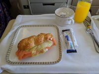 IMG_20191015_045501.jpeg