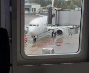 aviolet 737.jpg