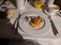 IMG_20191102_083856.jpeg
