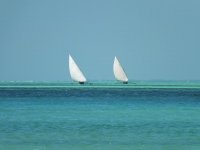 DSCF1767.jpg