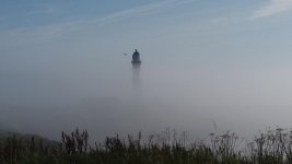 20190825_100551.jpg
