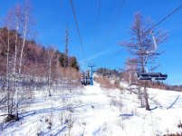20190226_010130_resized.jpg