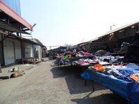 SAM_0560.jpg SAM_0560.jpg