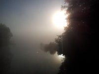 2011-10-15 08.57.48.jpg