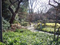 Tokyo 18 Ueno Park 1.jpg