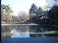 Tokyo 12 Mationalmuseum 12-1.jpg