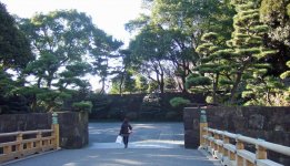 Tokyo 31 Palast1_bearbeitet-1-1.jpg