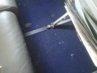 IMG00165-20111028-1240.jpg