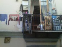 IMG00166-20111029-0924.jpg
