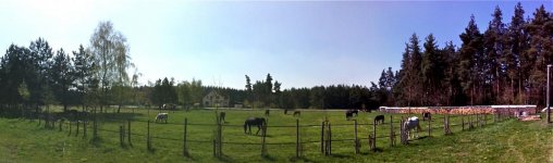 IMG_0087.jpg