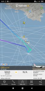 Screenshot_2020-03-31-08-51-49-633_com.flightradar24free.jpg