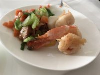 IMG_1003.JPG