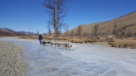 IMG-20190304-WA0040.jpg