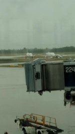 IMG_20200607_171910.jpg