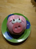 IMG_20201230_170556490.jpg
