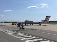 IMG_8532.jpg