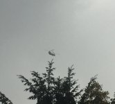 6A0293CC-1F1B-4E3B-B420-EA61FD9C67C0.jpeg