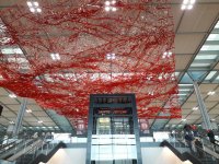 20201101_101533.jpg