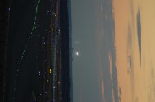 IMG_1204.jpg