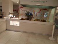 IMG_20201106_085534.jpeg