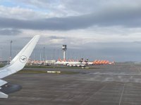 IMG_1512.jpg