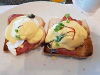 ZRH_EggBenedict.jpg