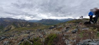 1goldensides.jpg 1goldensides.jpg