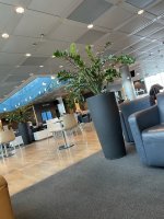 IMG_7373.JPEG