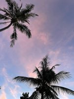 IMG_7834.JPEG IMG_7834.JPEG