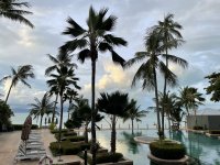 IMG_8087.JPEG IMG_8087.JPEG