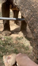 IMG_8110.JPEG IMG_8110.JPEG