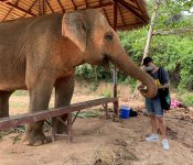 IMG_8181.JPEG IMG_8181.JPEG