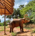 IMG_8232.JPEG IMG_8232.JPEG