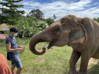 IMG_8261.JPEG IMG_8261.JPEG