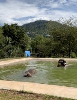 IMG_8360.JPEG IMG_8360.JPEG