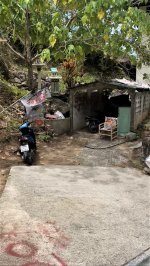 IMG_8414.jpeg IMG_8414.jpeg