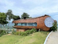 IMG_8399.JPEG IMG_8399.JPEG